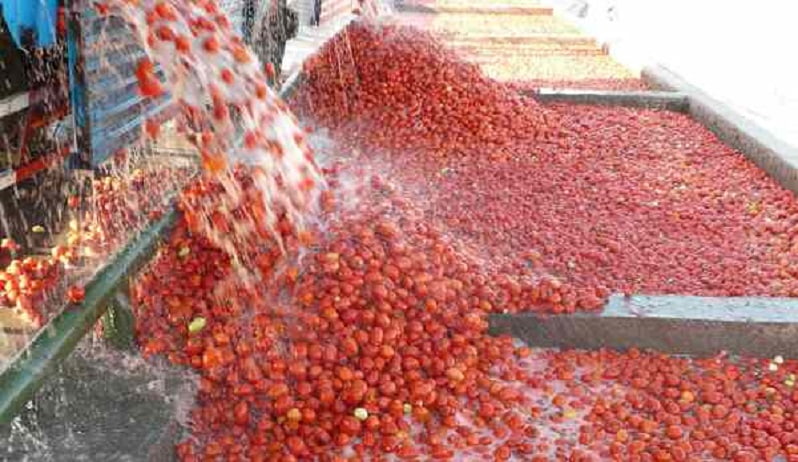 تصفیه فاضلاب کارخانه رب گوجهفرنگی-2